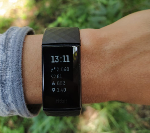 fitbit charge 4 rv2
