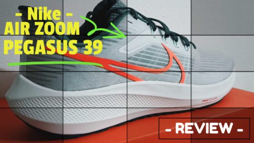 Nike pegasus 39 review