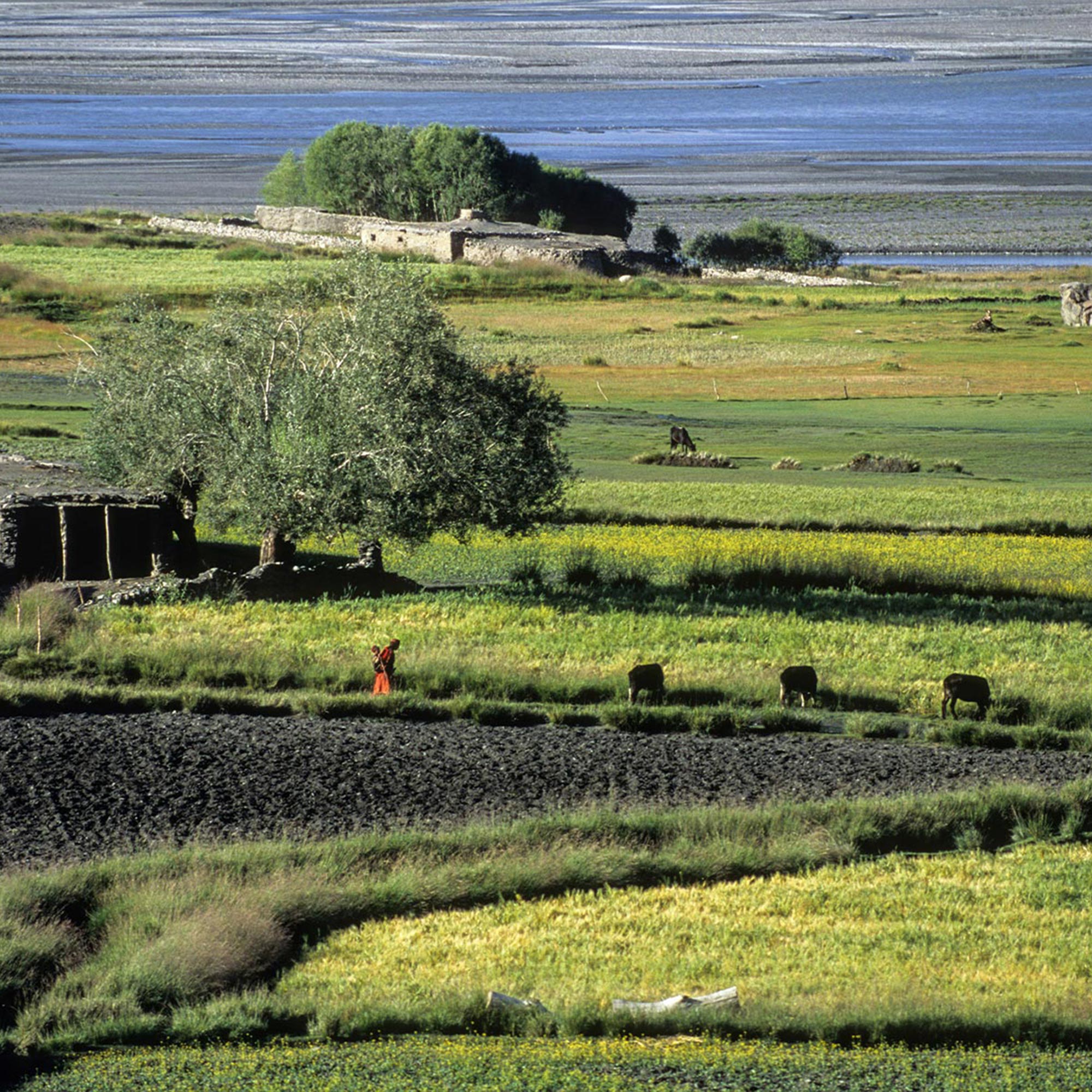 Patagonia lanza Home Planet Fund, iniciativa global para combatir la crisis climática