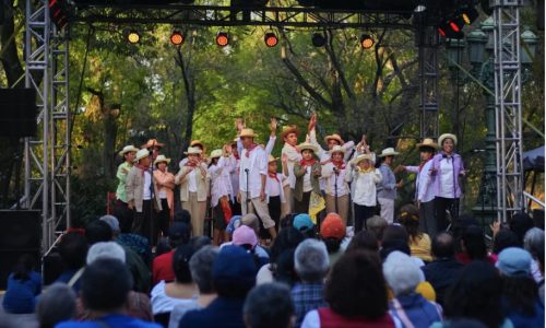 ¡Únete a la celebración y lucha antirracista en el festival Pachanga Antirracista CDMX!