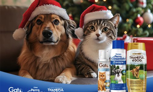 Regalos navideños para tu perro y gato